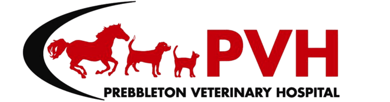 Prebbleton Veterinary Hospital
