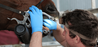 Untitled design - 2025-10-22T031956.031 Untitled design - 2025-10-22T031956.031