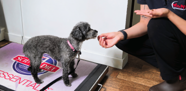 Untitled design - 2025-10-22T053908.177 Untitled design - 2025-10-22T053908.177