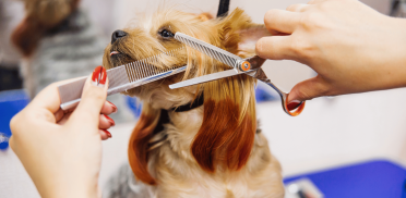 Untitled design - 2025-10-14T015605.495 Untitled design - 2025-10-14T015605.495