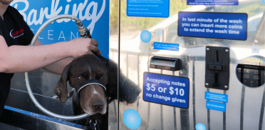 Untitled design - 2025-10-22T055309.217 Untitled design - 2025-10-22T055309.217