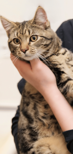 Untitled design - 2025-10-22T024404.985 Untitled design - 2025-10-22T024404.985