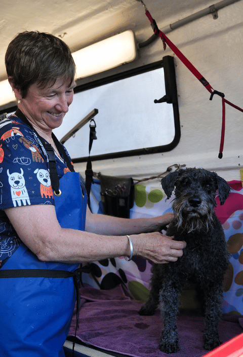 Untitled design - 2025-10-22T025705.770 Untitled design - 2025-10-22T025705.770