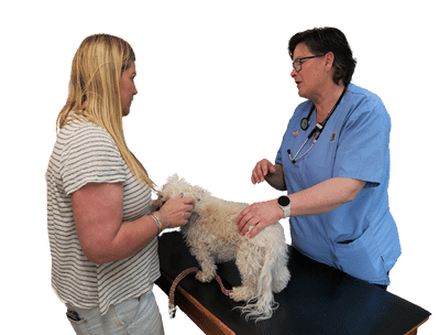 Untitled design - 2025-10-22T030323.385 Untitled design - 2025-10-22T030323.385